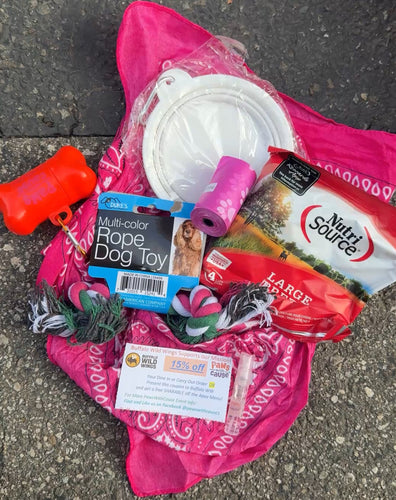 Paws Park Pet Pack - a Picnic Box