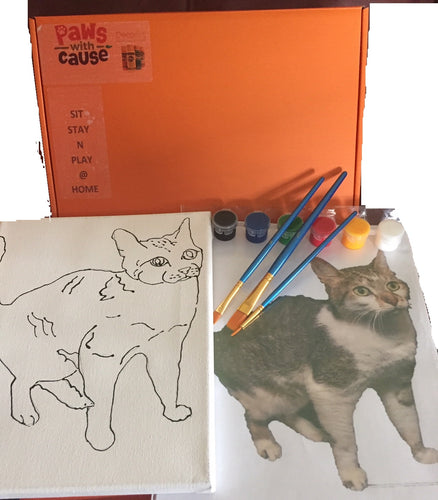Sit-Stay-'n'-Play@Home  - Cat - Painting Kit