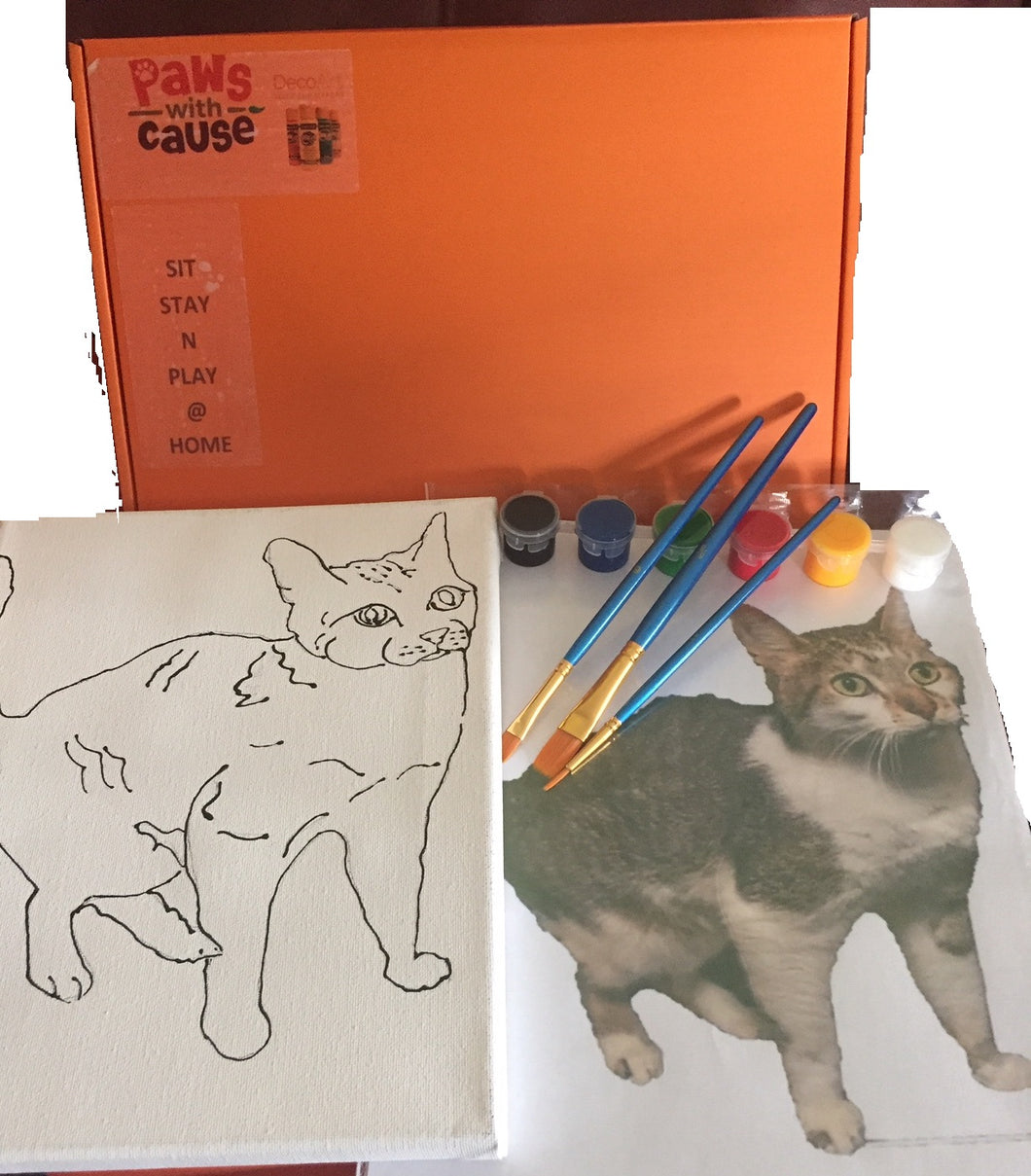 Sit-Stay-'n'-Play@Home  - Cat - Painting Kit