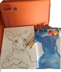 Sit-Stay-'n'-Play  Dog _Painting Kit